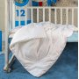 Одеяло детское шелковое облегченное «Comfort Premium Baby» (110х140 см, наполнитель: 100% шелк Mulberry, высшая категория; чехол: жаккард, 100% хлопок; цвет: белый)