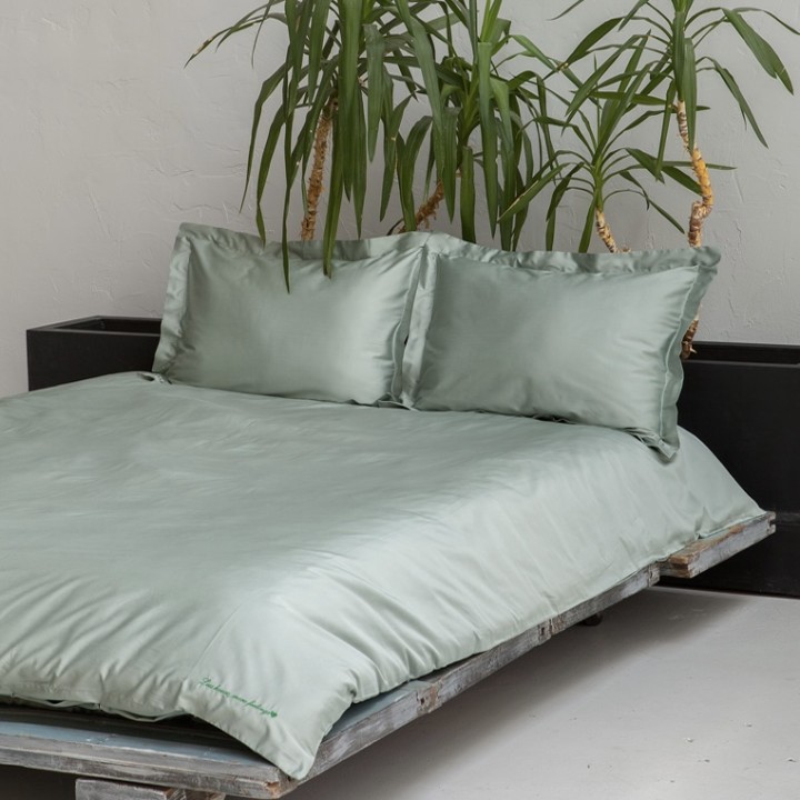 Постельное белье «Daily Bedding», цвет: полынь (1,5 - спальный; сатин: 100% хлопок)